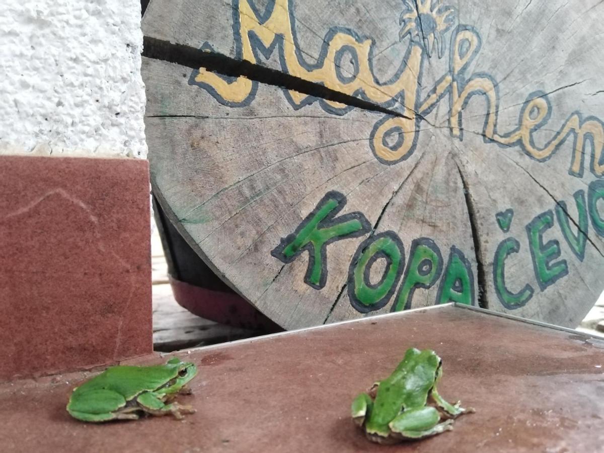 B&B Majhen Kopacevo Bagian luar foto