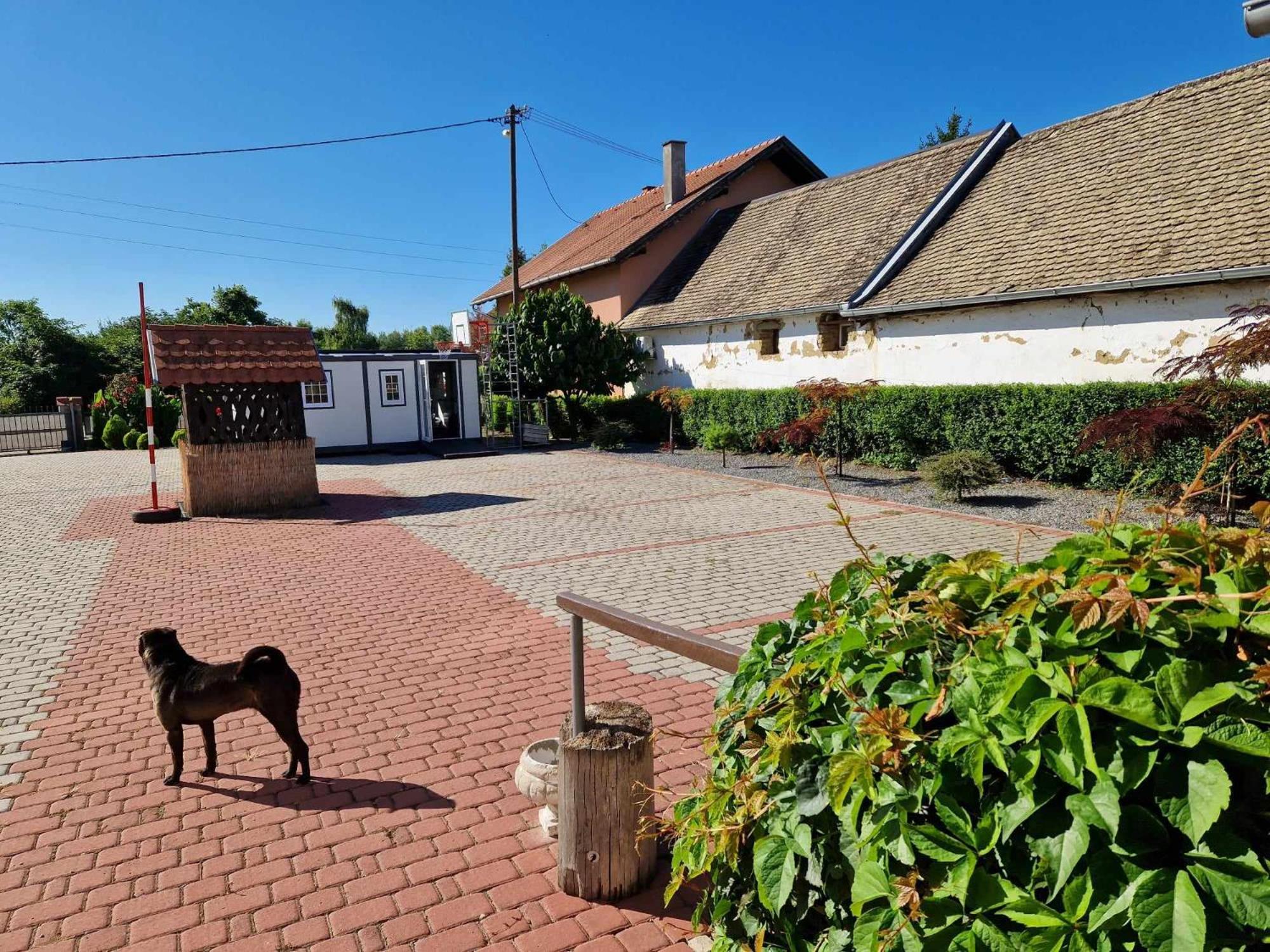 B&B Majhen Kopacevo Bagian luar foto